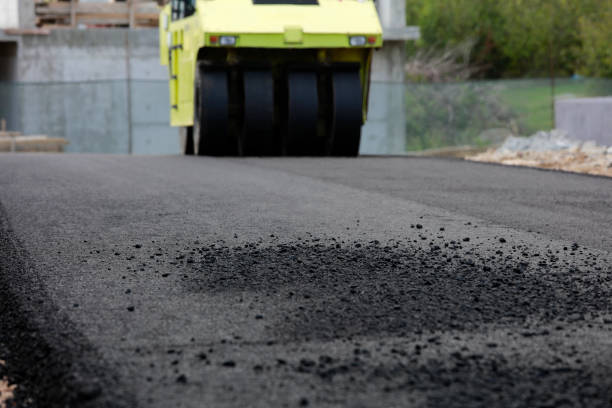 Best Custom Driveway Pavers  in Avilla, AR