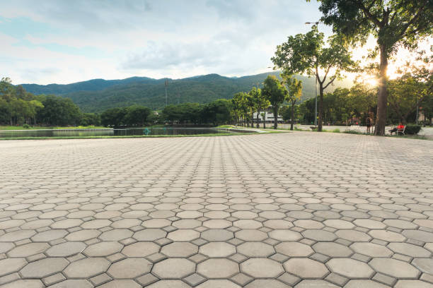 Best Driveway Paving Contractor  in Avilla, AR